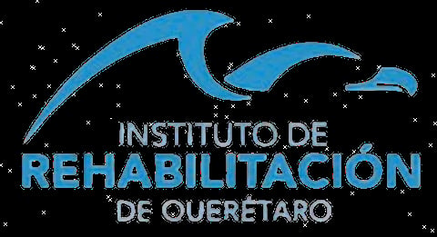 Logo of Instituto de Rehabilitación de Querétaro with blue wave design and gray text